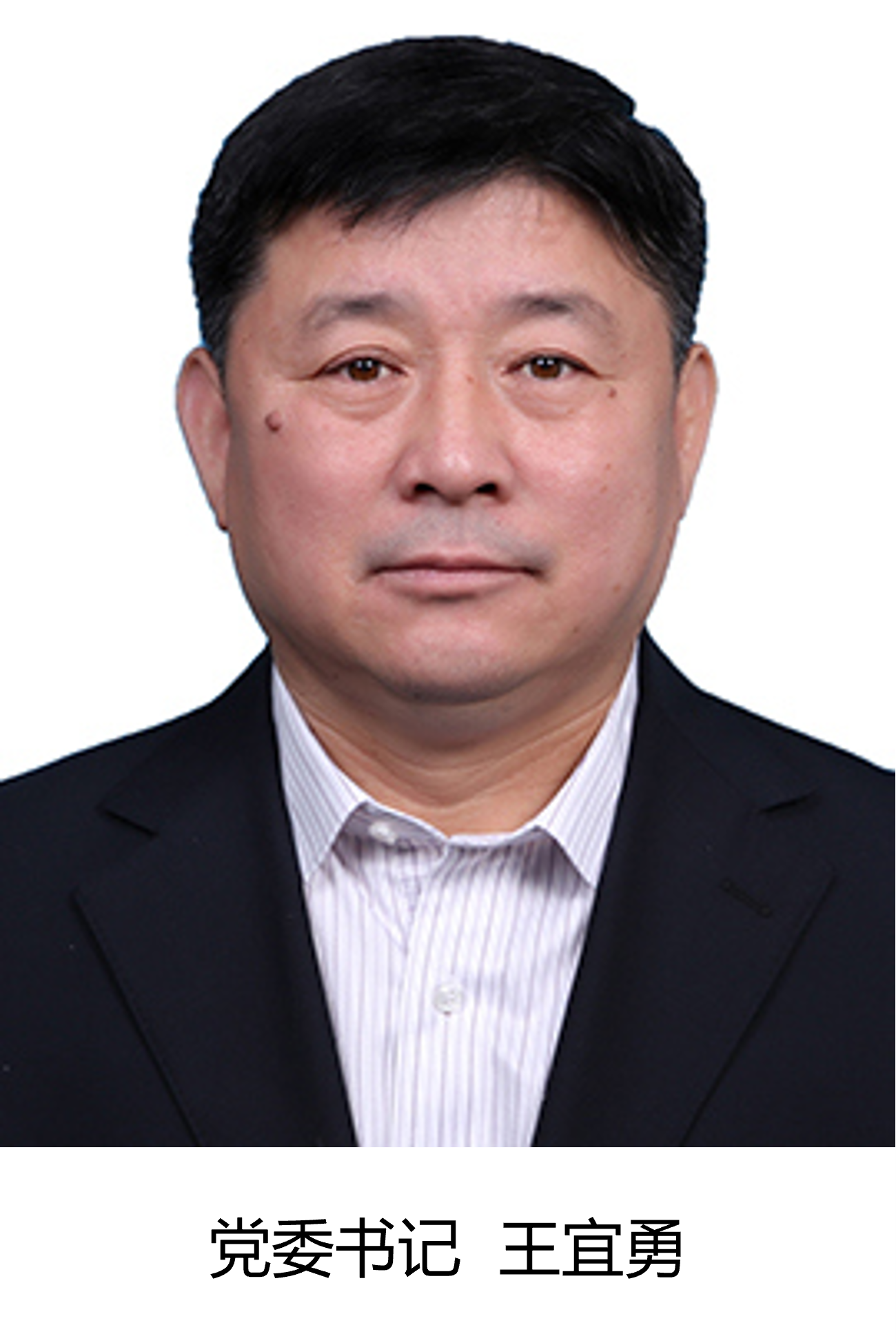 书记.png